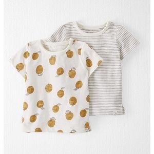 Little Planet Organic by Carter’s Golden Orchard t-shirt set size 18 months